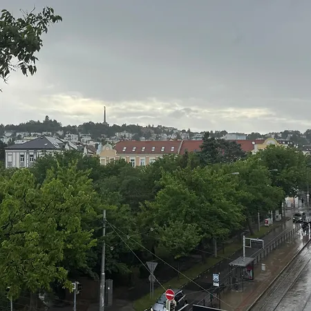 Jungle In Centre W Ac