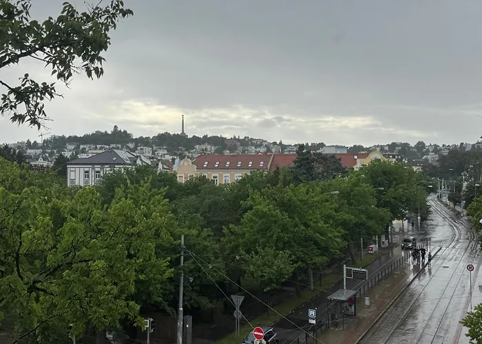 Jungle In Centre W Ac