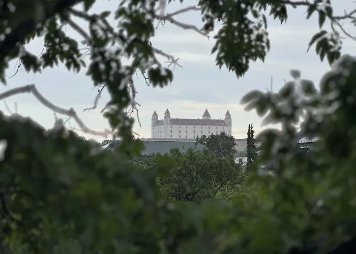 Jungle In Centre W Ac *